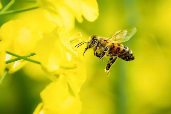 Health and Wellness Tips in 2024 and Beyond