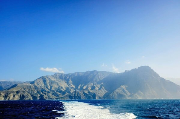 Proven Strategies to Help Alleviate Dog Anxiety During Car Journeys