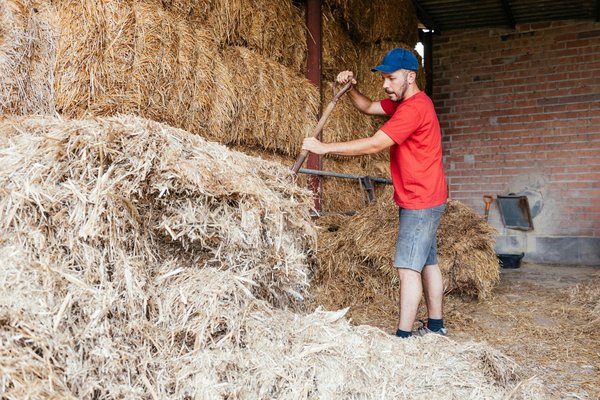 Home Decor Trends That Could Change Everything